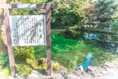 富士山本宮浅間大社(静岡県)