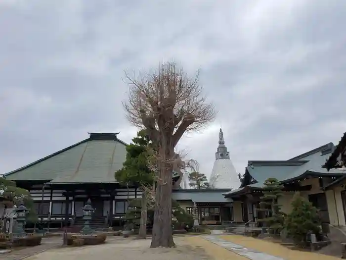 長松院の建物その他