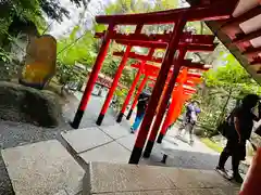 來宮神社(静岡県)