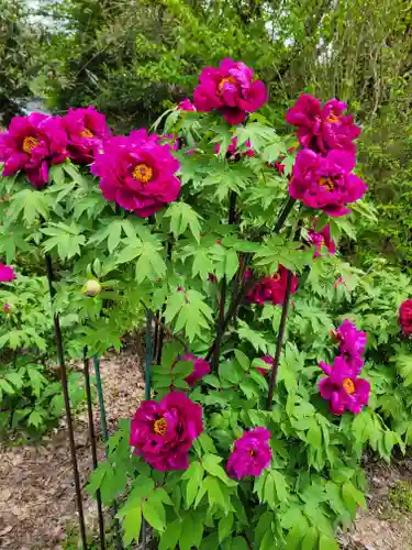 隆国寺(兵庫県)