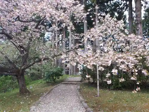 中尊寺の建物その他