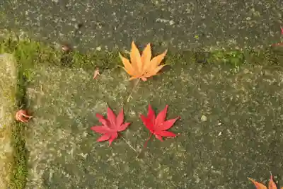 桜天満宮(京都府)