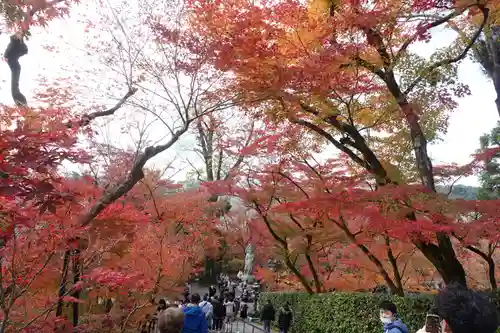 禅林寺（永観堂）(京都府)