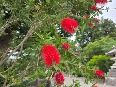 沙沙貴神社(滋賀県)