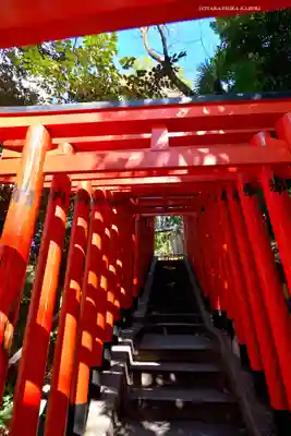 日枝神社(東京都)