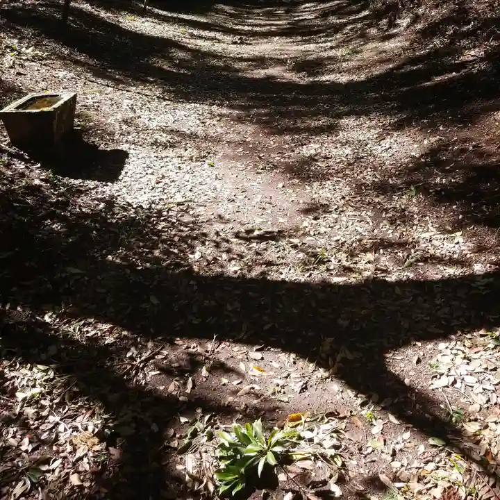沼尾神社の自然
