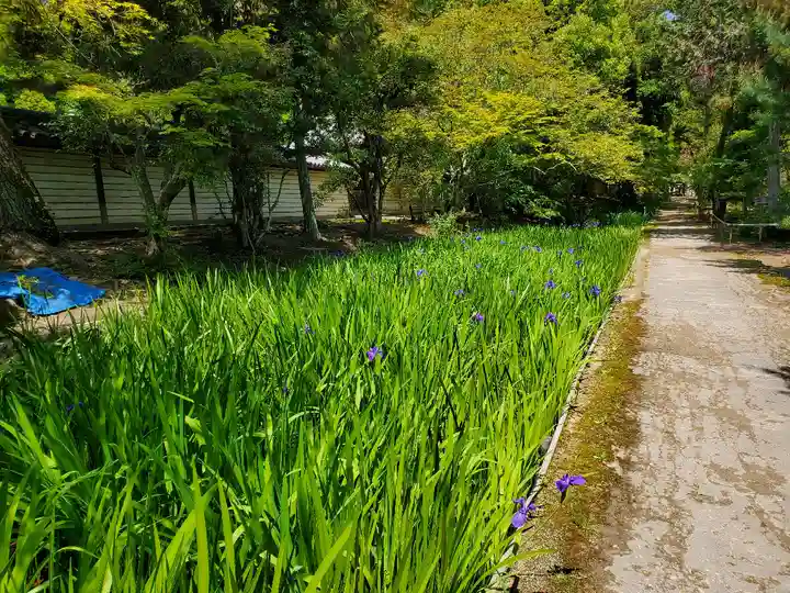 唐招提寺の自然