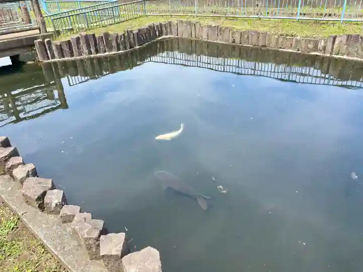 出世弁財天女宮(東京都)