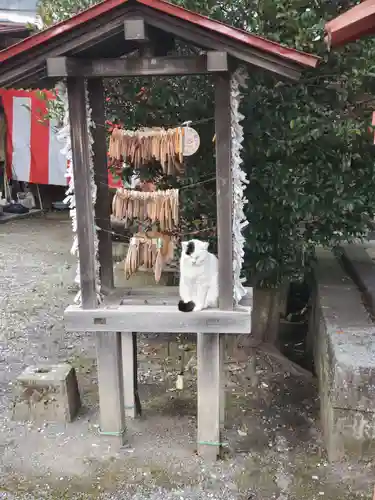 今市報徳二宮神社(栃木県)
