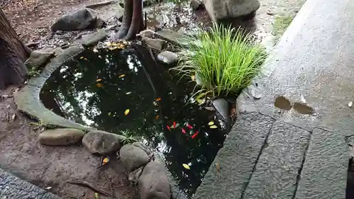 春日神社の庭園