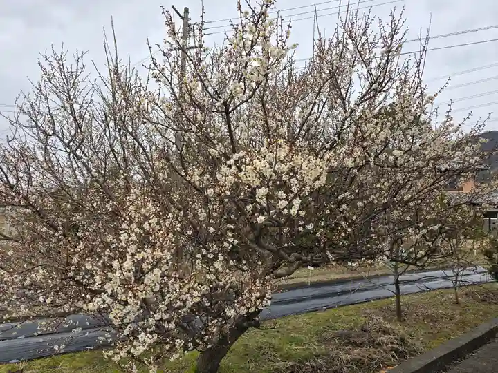 円照寺(兵庫県)