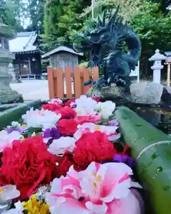 立志神社の手水舎(2022年04月15日(金) 09時36分16秒投稿)