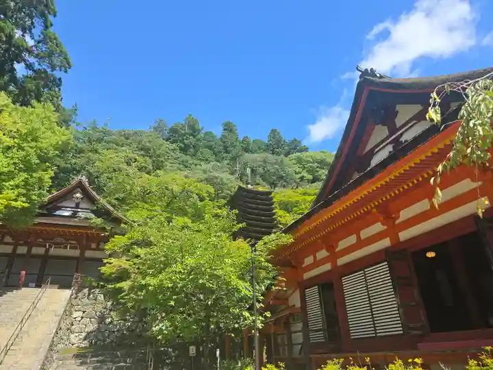 談山神社(奈良県)