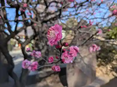 北野神社(東京都)