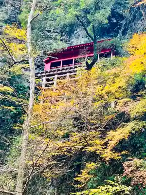 満願寺の{uncategorized: "未分類", other: "その他", undefined: "問題あり", building: "その他建物", grave: "お墓", sacred_gate: "鳥居", guardian: "狛犬", statue: "像", buddha: "仏像", history: "歴史", nature: "自然", garden: "庭園", animal: "動物", pagoda: "塔", temizu: "手水舎", mountain_gate: "山門・神門", sanctuary: "本殿・本堂", subordinate: "末社・摂社", art: "芸術", scenery: "景色", jizo: "地蔵", ema: "絵馬", goshuin: "御朱印", omikuji: "おみくじ", items: "授与品その他", amulet: "お守り", goshuincho: "御朱印帳", eats: "食事", festival: "お祭り", votive_dance: "神楽", shichigosan: "七五三参", wedding: "結婚式", experience: "体験その他", initially: "初詣", around: "周辺", anti_infection: "感染症対策"}