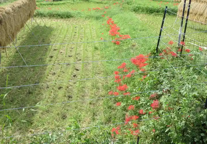 浄発願寺(神奈川県)