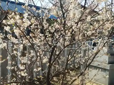 布忍神社(大阪府)