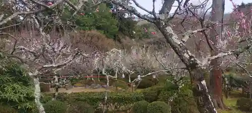 石山寺の自然