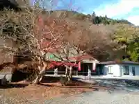 報恩寺の本殿・本堂