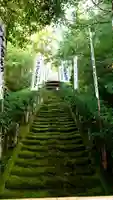 杉本寺の自然