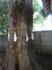 金山彦神社の自然