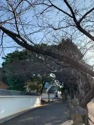 彌都加伎神社のその他建物