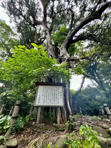 大瀬神社(静岡県)