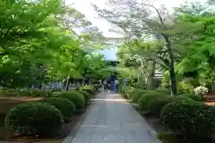 豪徳寺の建物その他