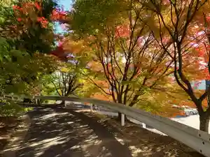 滑川神社 - 仕事と子どもの守り神(福島県)(2024年11月13日(水) 18時51分59秒投稿)