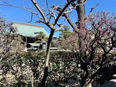 栄林寺の{uncategorized: "未分類", other: "その他", undefined: "問題あり", building: "その他建物", grave: "お墓", sacred_gate: "鳥居", guardian: "狛犬", statue: "像", buddha: "仏像", history: "歴史", nature: "自然", garden: "庭園", animal: "動物", pagoda: "塔", temizu: "手水舎", mountain_gate: "山門・神門", sanctuary: "本殿・本堂", subordinate: "末社・摂社", art: "芸術", scenery: "景色", jizo: "地蔵", ema: "絵馬", goshuin: "御朱印", omikuji: "おみくじ", items: "授与品その他", amulet: "お守り", goshuincho: "御朱印帳", eats: "食事", festival: "お祭り", votive_dance: "神楽", shichigosan: "七五三参", wedding: "結婚式", experience: "体験その他", initially: "初詣", around: "周辺", anti_infection: "感染症対策"}