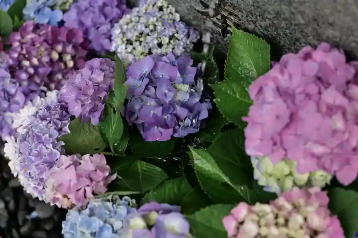 高司神社〜むすびの神の鎮まる社〜(福島県)