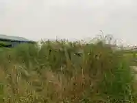 熊野神社の末社・摂社