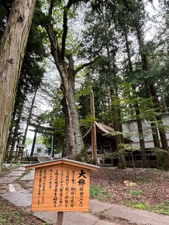 諏訪大社(長野県)