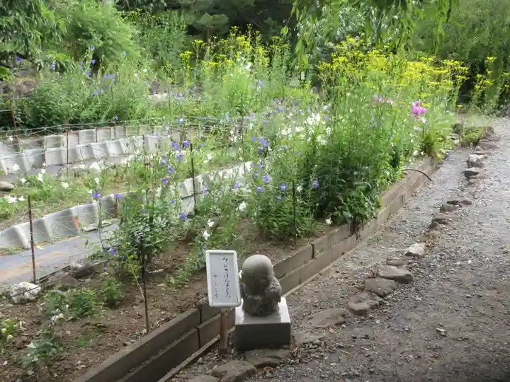 香勝寺(静岡県)