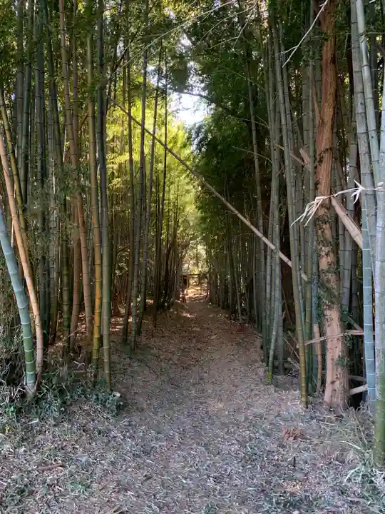 諏訪大神(千葉県)