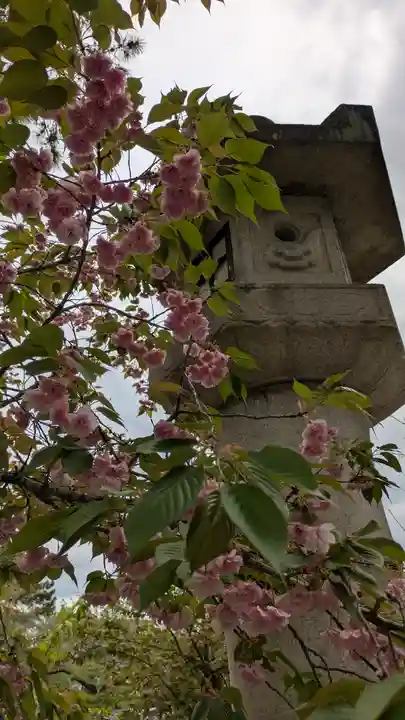 道明寺天満宮(大阪府)