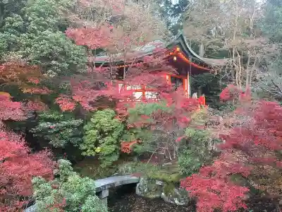 毘沙門堂門跡(京都府)