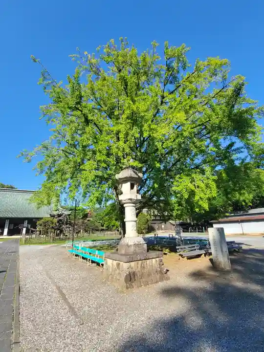 大光院 新田寺のその他建物