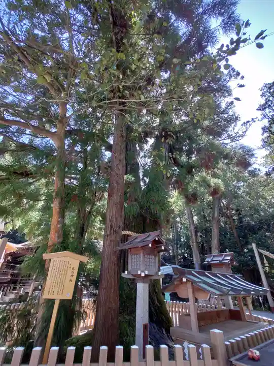 大神神社(奈良県)