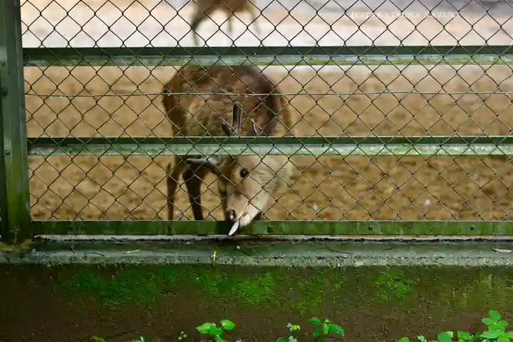 鹿島神宮(茨城県)