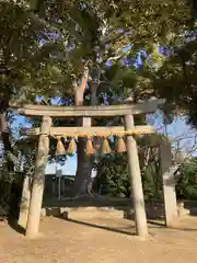 牟禮神社(大阪府)