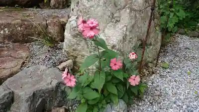 本経寺(栃木県)