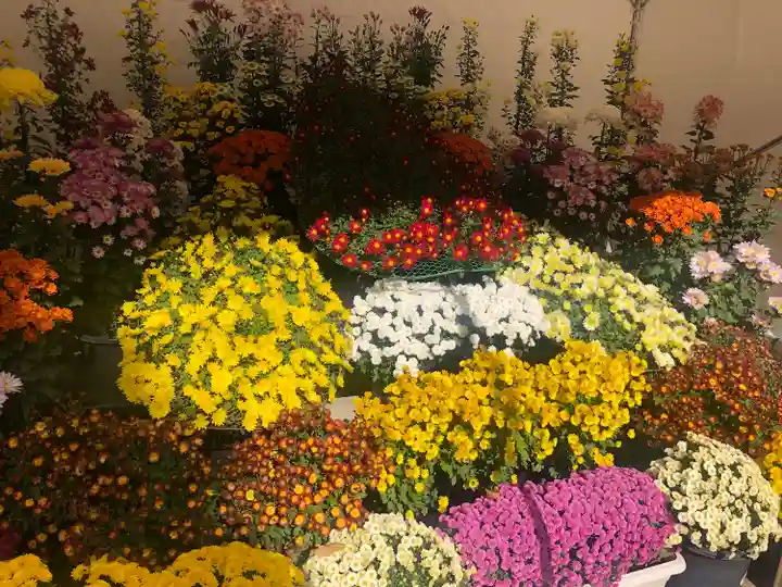 穂高神社本宮(長野県)