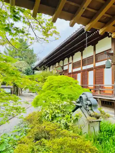 浄林寺の{uncategorized: "未分類", other: "その他", undefined: "問題あり", building: "その他建物", grave: "お墓", sacred_gate: "鳥居", guardian: "狛犬", statue: "像", buddha: "仏像", history: "歴史", nature: "自然", garden: "庭園", animal: "動物", pagoda: "塔", temizu: "手水舎", mountain_gate: "山門・神門", sanctuary: "本殿・本堂", subordinate: "末社・摂社", art: "芸術", scenery: "景色", jizo: "地蔵", ema: "絵馬", goshuin: "御朱印", omikuji: "おみくじ", items: "授与品その他", amulet: "お守り", goshuincho: "御朱印帳", eats: "食事", festival: "お祭り", votive_dance: "神楽", shichigosan: "七五三参", wedding: "結婚式", experience: "体験その他", initially: "初詣", around: "周辺", anti_infection: "感染症対策"}