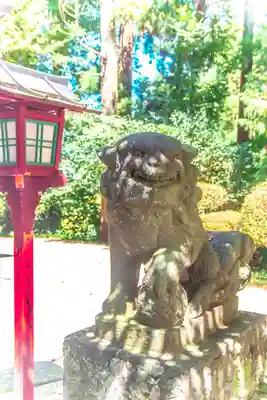 鹿島神社の狛犬