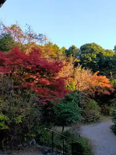 不退寺(奈良県)