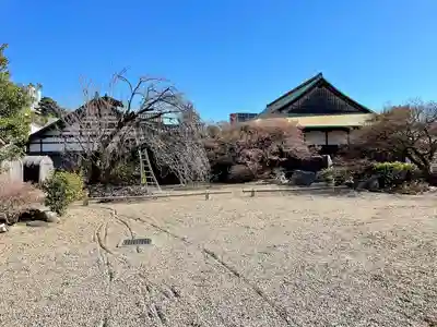 東海寺(東京都)