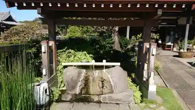 妙蓮寺の手水舎