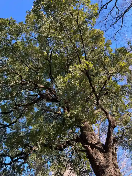 駒込天祖神社(東京都)