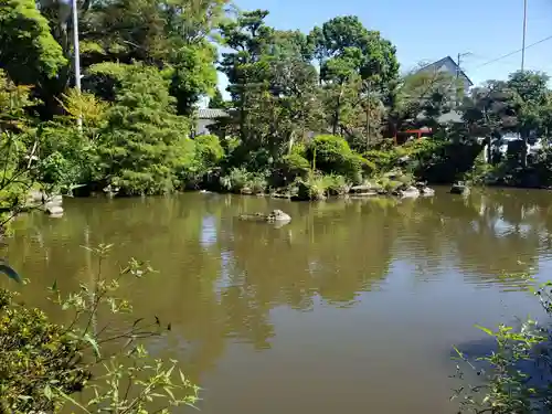 宝寿院の庭園